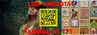 стаф Ярославль