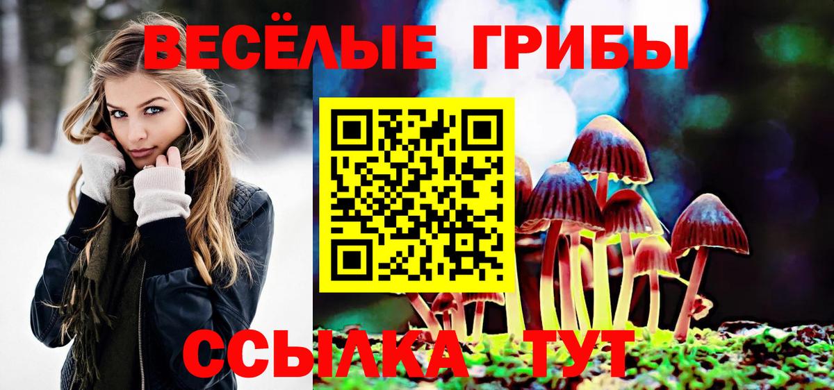 Домодедово  Псилоцибиновые грибы мухоморы  Вход с VPN 